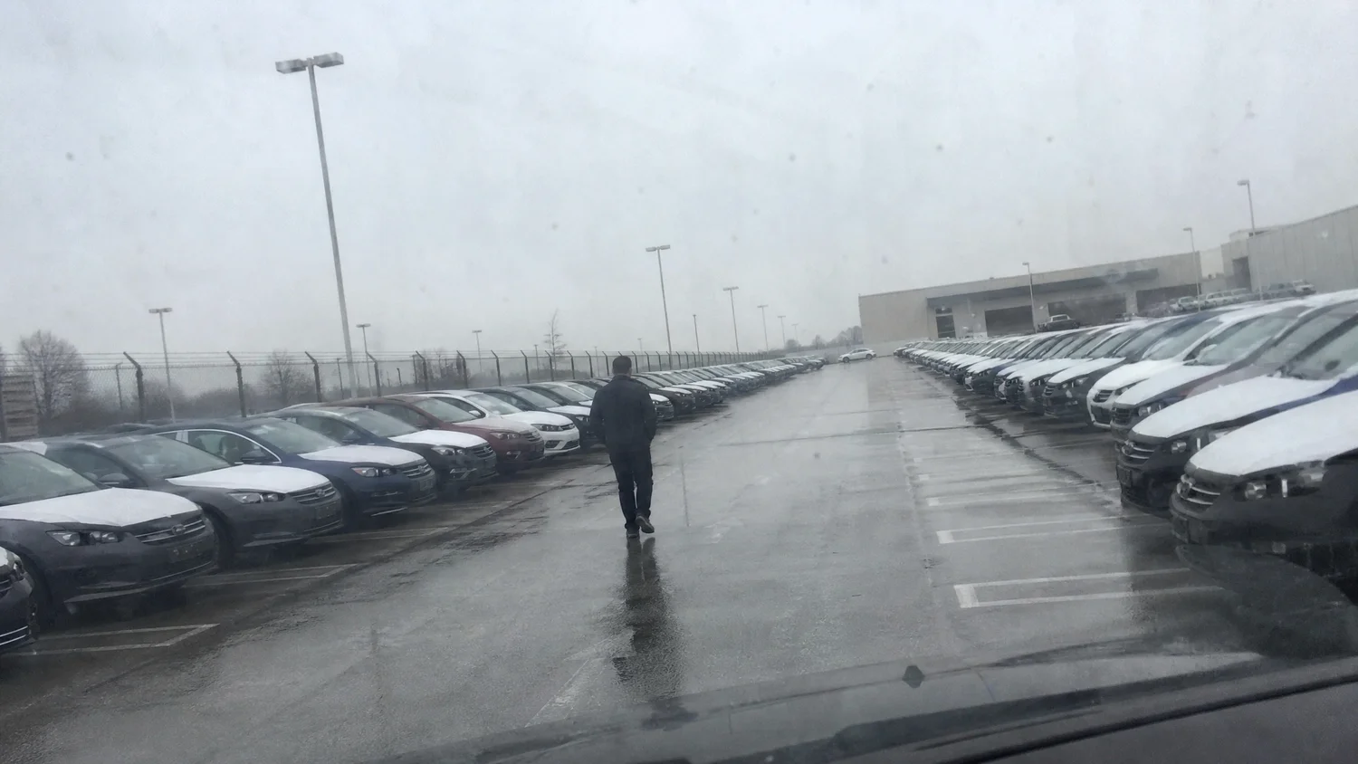 Convoyeur marchant entre deux rangées de véhicules neufs à l'aube